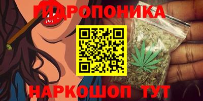 гашик Пугачёв