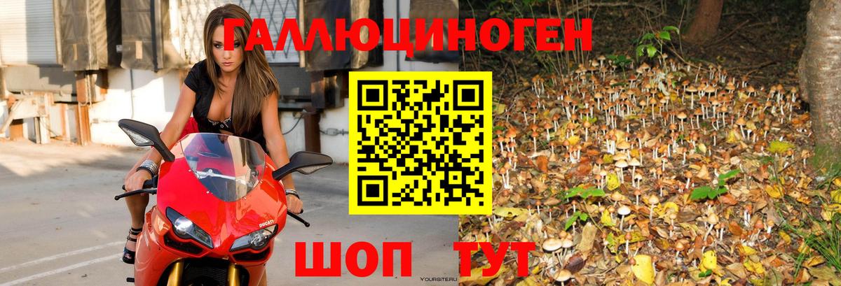 Галлюциногенные грибы GOLDEN TEACHER Рославль