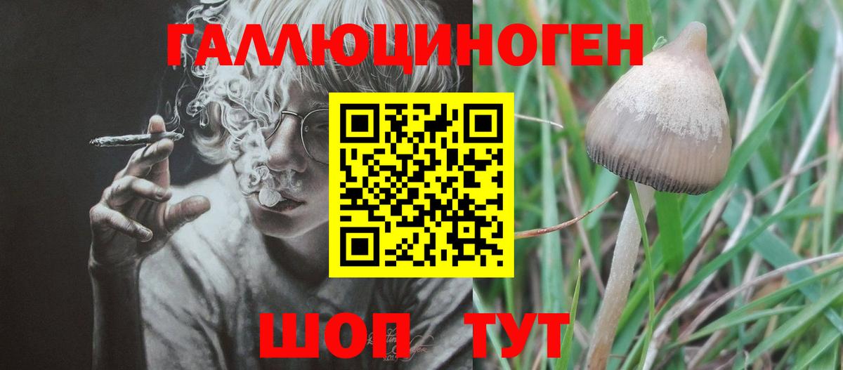 Галлюциногенные грибы MAGIC MUSHROOMS  Вход с VPN  Рославль 