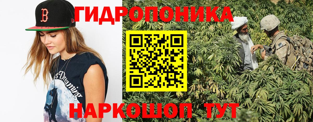 Шишки марихуана марихуана Рославль